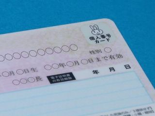 マイナ保険証（初回・月初）